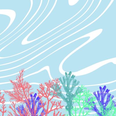 Graafinen Itämeripäivä-kuvitus: vaaleansininen tausta valkoisilla, aallonmuotoisilla viivoilla ja alareunassa erivärisiä rakkohauruja ja muita merikasveja punaisen, sinisen, violetin ja vihreän sävyissä.