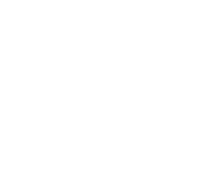 Salon kaupungin logo valkoinen