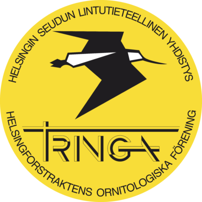 TRINGA logo keltainen RGB